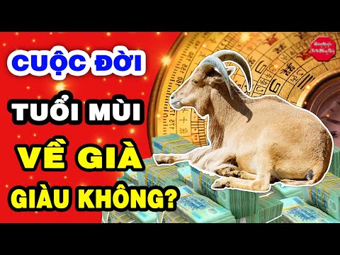 Video Xem Tử Vi Trọn Đời TUỔI MÙI Theo Số Trời Định Hay Và... - youtube