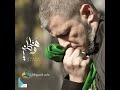 جسدي الممزق للرادود عامر كسرواني