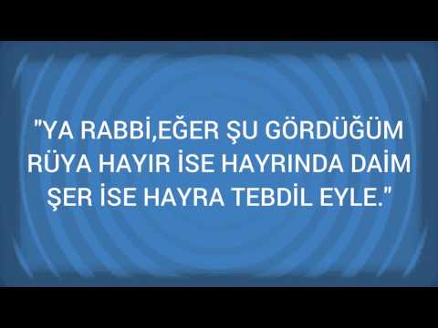 Rüyada Kunduz Hayası Görmek Ne Anlama Gelir, Ne Demektir?