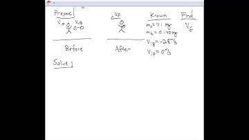 Momentum and Inelastic Collisions