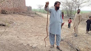 Snek Pkrhah Saith Asif Zehrila