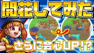 【ドラクエタクト】アリーナ才能開花してみた。【メラ物理ぶっちぎり最強】