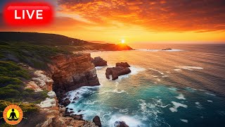 🔴 Relaxing Music 24\/7, Sleep Music, Stress Relief Music, Spa, Meditation, Yoga, Zen, Calming Music