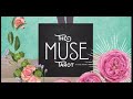 Muse Tarot Review - NEW RELEASE!