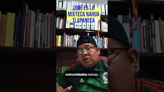 ​¿Qué es la Mixteca-Nahua-Tlapaneca? El legado de Leonhard Schultze Jena