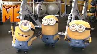 Deable Me Minions On The Biggest Loser Illumination