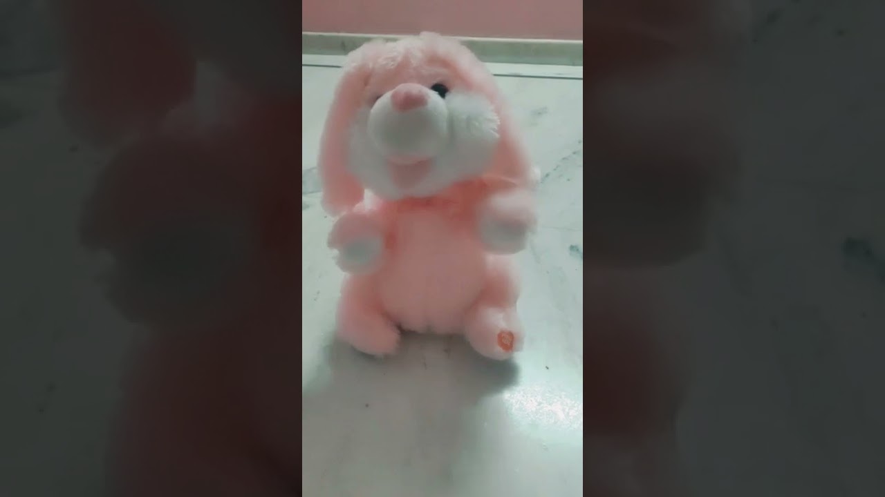 My dancing rabbit ❤️ 