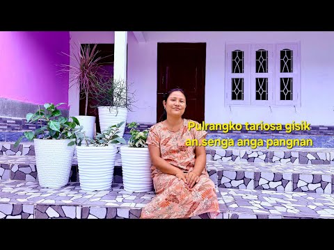 Pulrangko Tariosa Gisik An Senga Anga Pangnan Bougainvillea Gardening