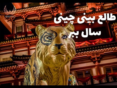 طالع بینی چینی سال ببر متولدین سال ببر چه ویژگی هایی دارند 