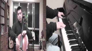 Christina Perri: The Lonely ( Cello Cover)