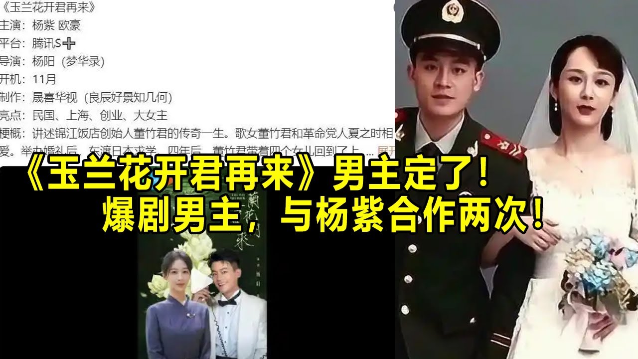 《玉兰花开君再来》男主定了！爆剧男主，与杨紫合作两次！