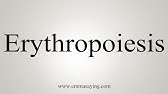 How To Say Macrophages Youtube