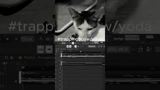 yoda mew mew #trap #nettspend #producer #underground #typebeat