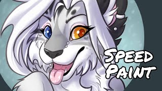 Kitty - SpeedPaint