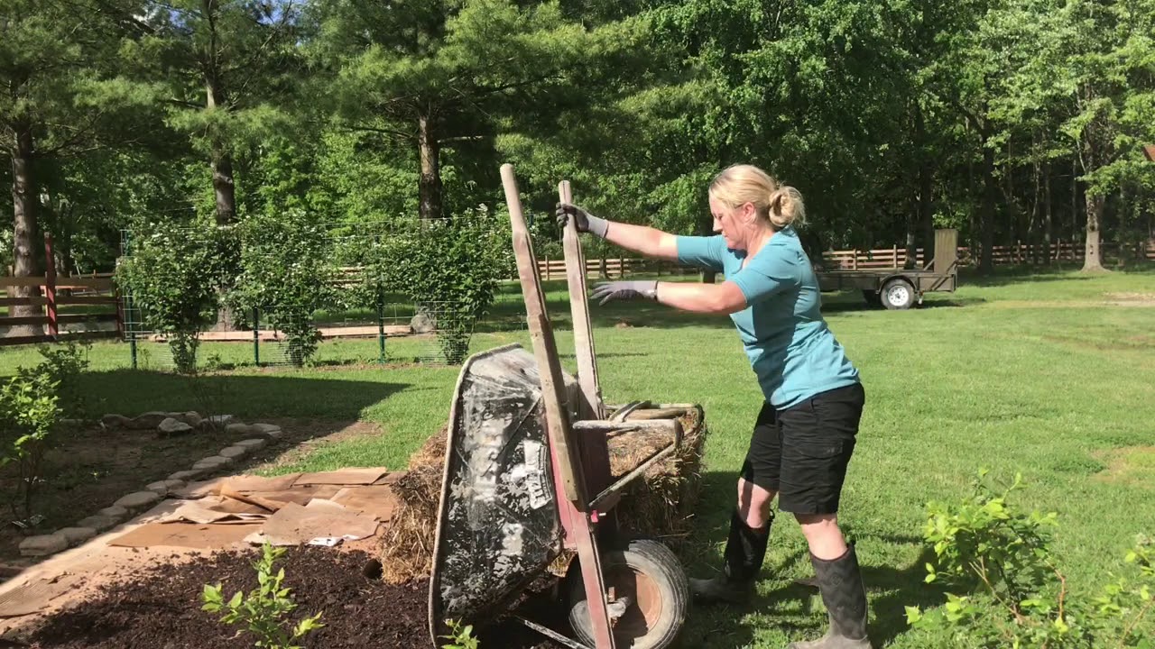 Straw bale garden & wood chip ground cover YouTube
