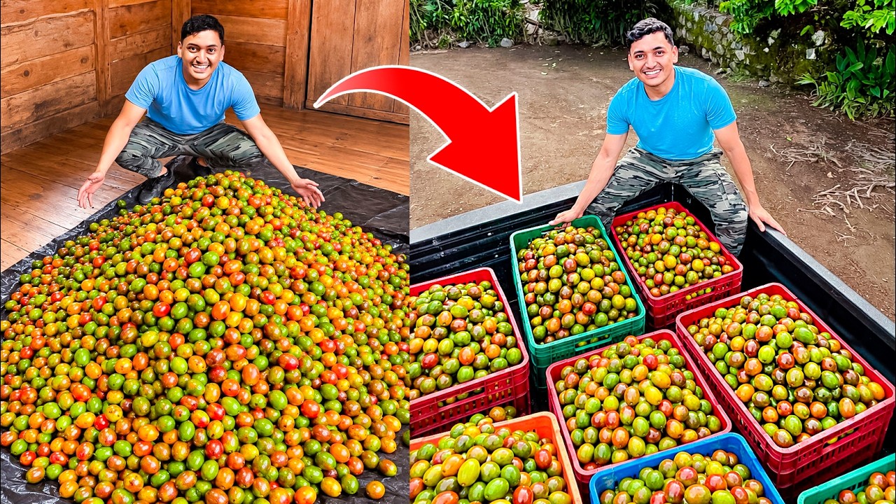 Original Title & Thumbnail