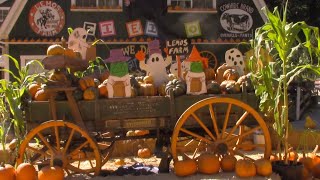 Let's Get Pumpkins At Lemos Farm! (2019)