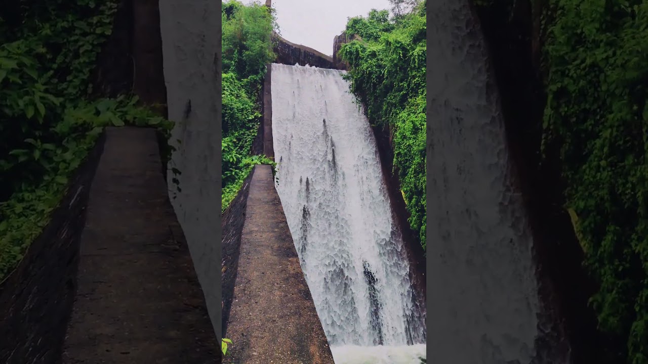 Sikidri Powerplant's water exit in Ranchi during the monsoon season! 