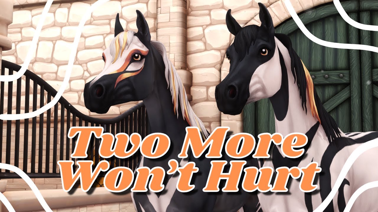 Покупаю последних двух лошадей, которые мне нужны на зиму | Конюшня «Звезда»