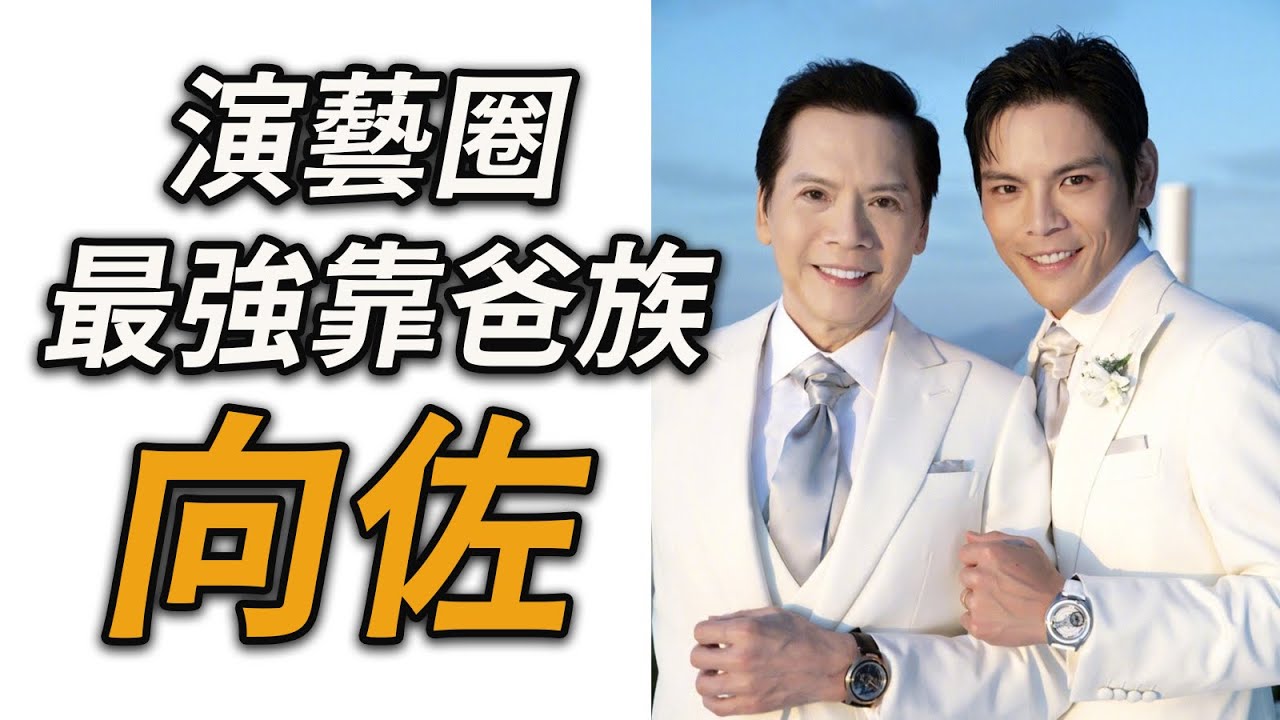 演戲、武打、綜藝全翻車，花20億也捧不紅的少爺向佐，練七年武術卻輸給男團成員，又可憐又好笑的向佐的故事～