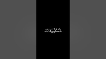 اذكر الله | سورة النجم الأية 39-48 القارئ ياسر الدوسري #quran #اكسبلور