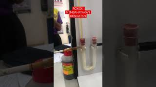 Eksperimen Rokok