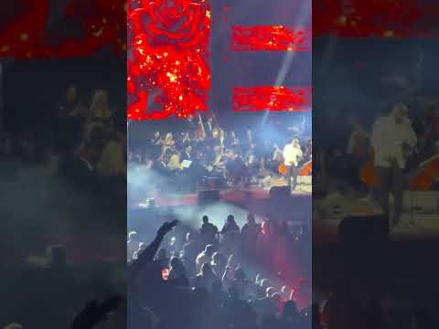 Nulook live concert at Kaseya center Miami 