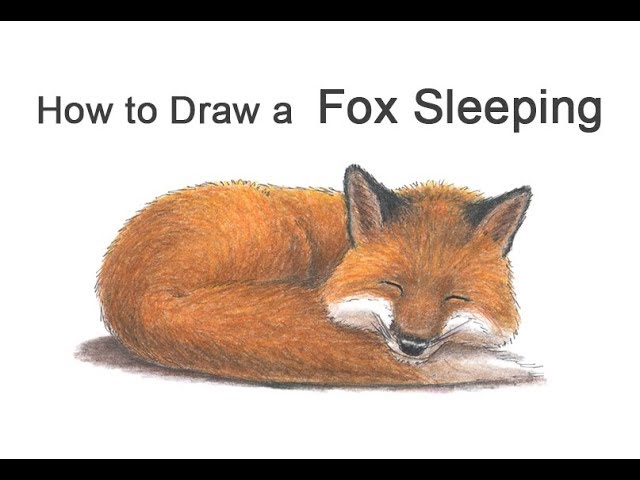 How to Draw a Chipmunk - YouTube