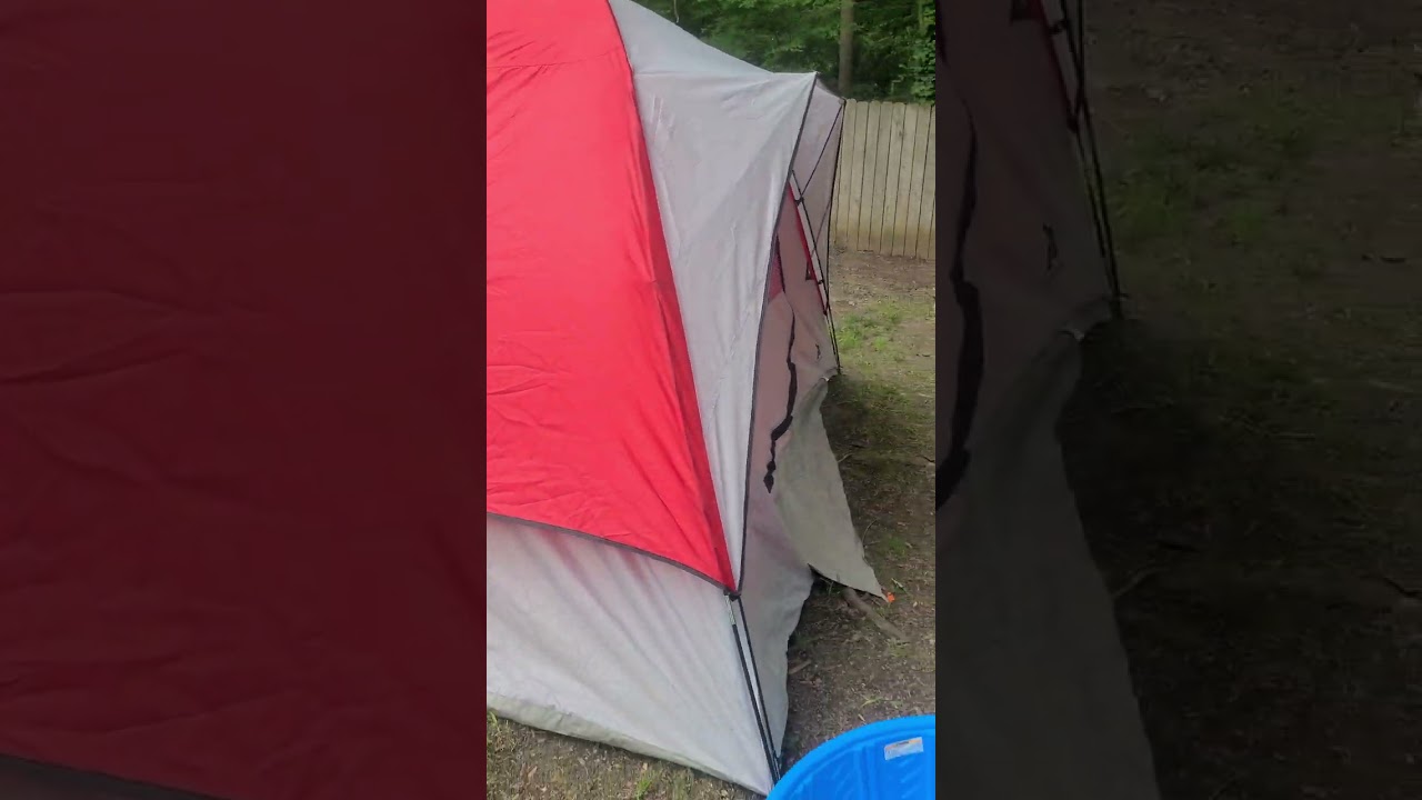 Where have we been?? Yard update 