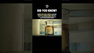 They PRESERVED A K*LLER’s Head #history #facts
They PRESERVED A K*LLER’s Head #history #facts They PRESERVED A K*LLER’s Head #history #facts