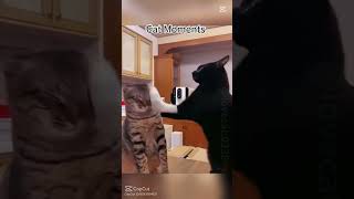 Vtipné 