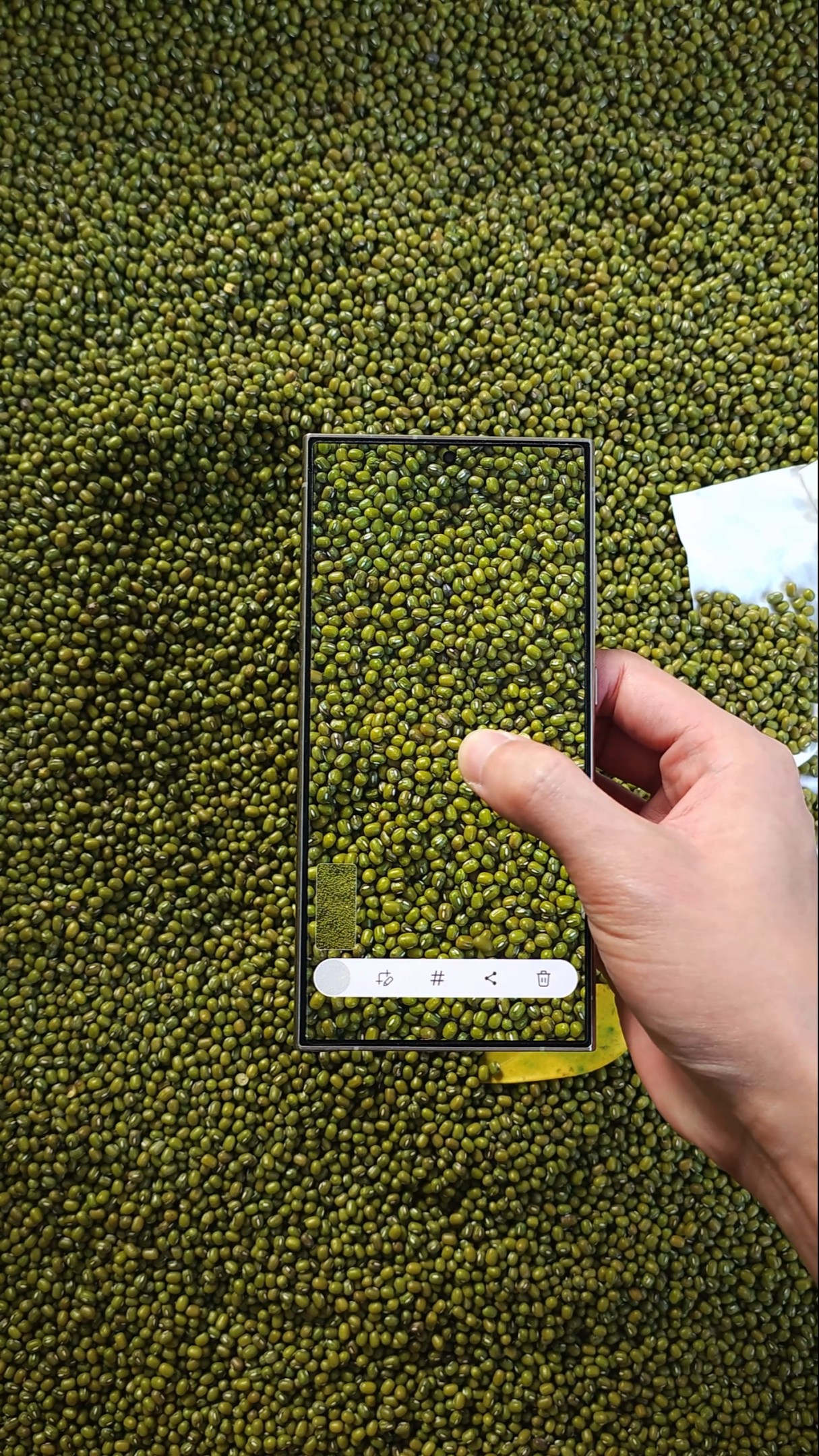 Samsung S24Ultra screen quality display. # Samsung Mobile phone # Mobile digital # s24ultra #shorts