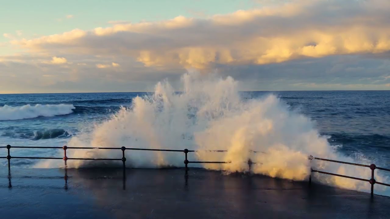 Tourism Special movement | Real Reel Studio | India | Pakistan | Europe | Asia | Dubai | Qatar