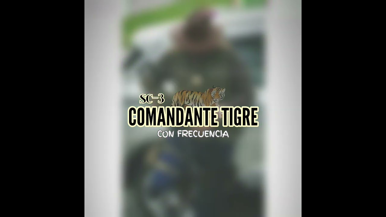 COMANDANTE TIGRE // GOLPE DE GUERRA // CON FRECUENCIA