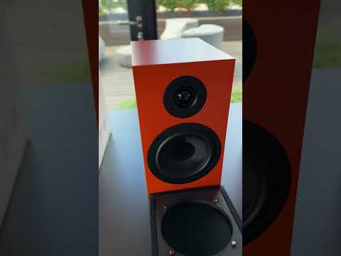 Debut EVO 2 Turntable in Signal orange 🧡 #projectaudiosystems