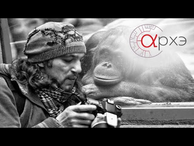 лекции по зоопсихологии и сравнительной психологии для