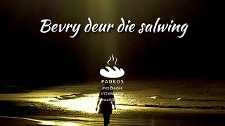 Bevry deur die salwing