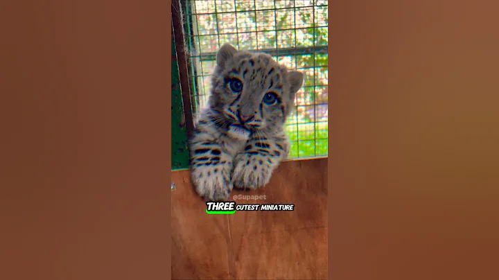 3 Adorable Baby Animals 🐾 ♥️ thumbnail