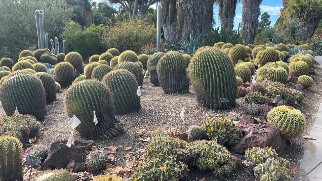 HUNTINGTON BOTANICAL GARDEN 2