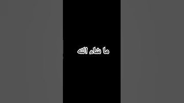 #قران_كريم #اكسبلور #الجزائر #راحة_نفسية #فلسطين #تلاوة_خاشعة