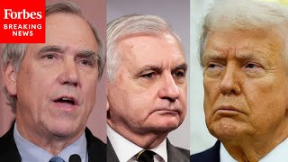 Jack Reed And Jeff Merkley Openly Warn Direction Of Trump Administration Is 'Authoritarian Rule'