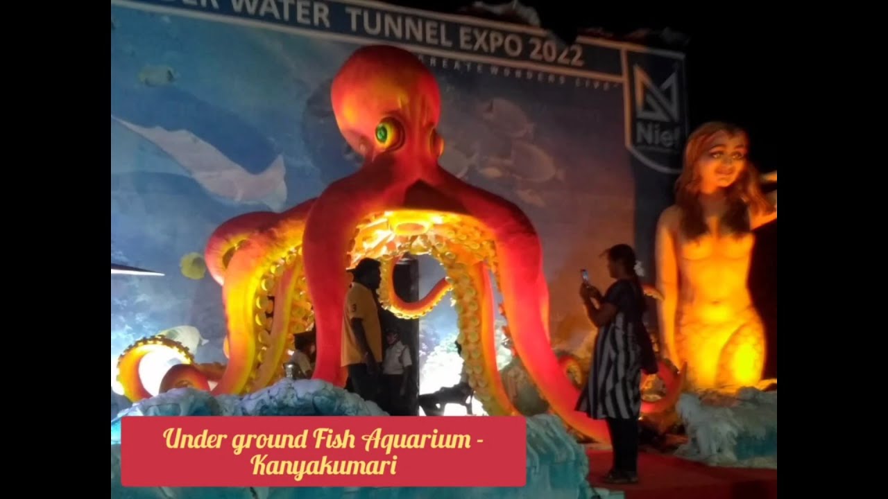 Very Beautiful Underground Fish Aquarium in Kanyakumari unavumrusiyum YouTube