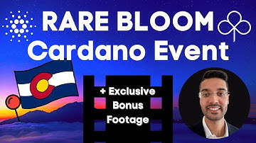 Rare Bloom Experience | Cardano IN PERSON w/ Mocossi, ADAO, dcSpark, HOSKY, DripDropz and More!