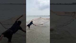 Brilliant Net Throwing Skill in Wild River!#castnet #monsterfish #riverlife #fishing #viralvideo