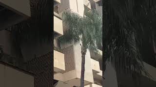 Building damage in Puerto Vallarta,Mexico on Sept 19, 2022 earthquake