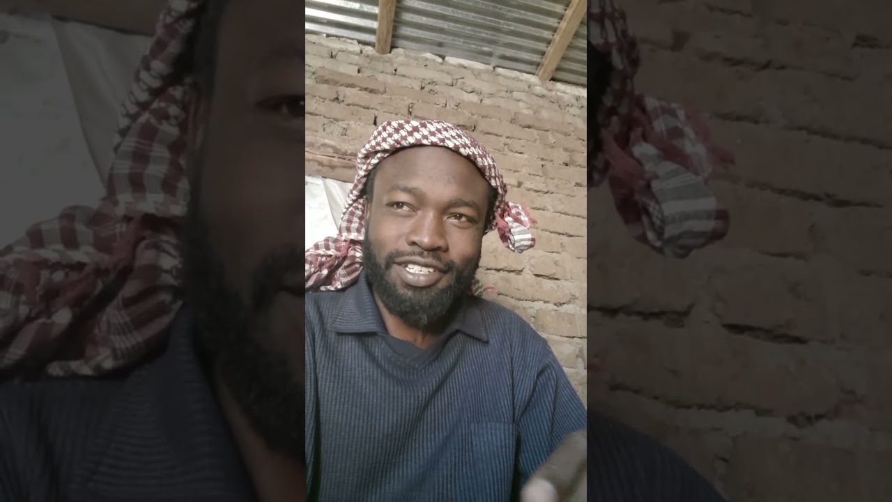 عام السلام في الارض ٢٦  