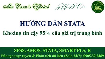 Hướng dẫn STATA | Khoảng tin cậy 95% của giá trị trung bình trên STATA 13112025
