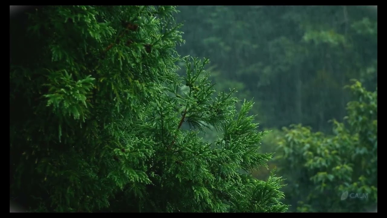 Relaxing Rain Sound for 5 hours🌧️Deep Sleep, Stress Relief, Study and Meditation