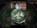 top 10 unique facts #IkkuFacts #FoodFacts #AppleLove #HealthyEating #FunFoodFact #DidYou #ikkufacts