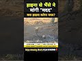 भैंसे ने हाइना से मदद की गुहार लगाई 😱 । animal shorts । #shorts #ytshorts